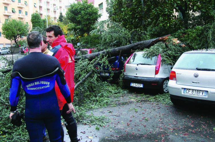 Nubifragio sul centro di Genova: allagamenti, frane e alberi caduti