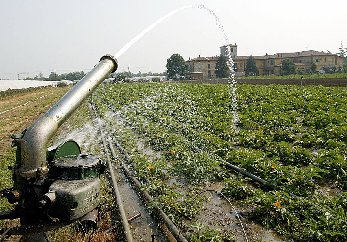 Clima impazzito nel mondo tra gelo e siccità