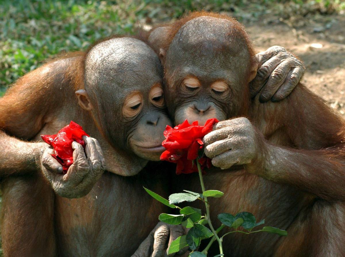 San Valentino regala l’arte e aiuta a trovare l’amore