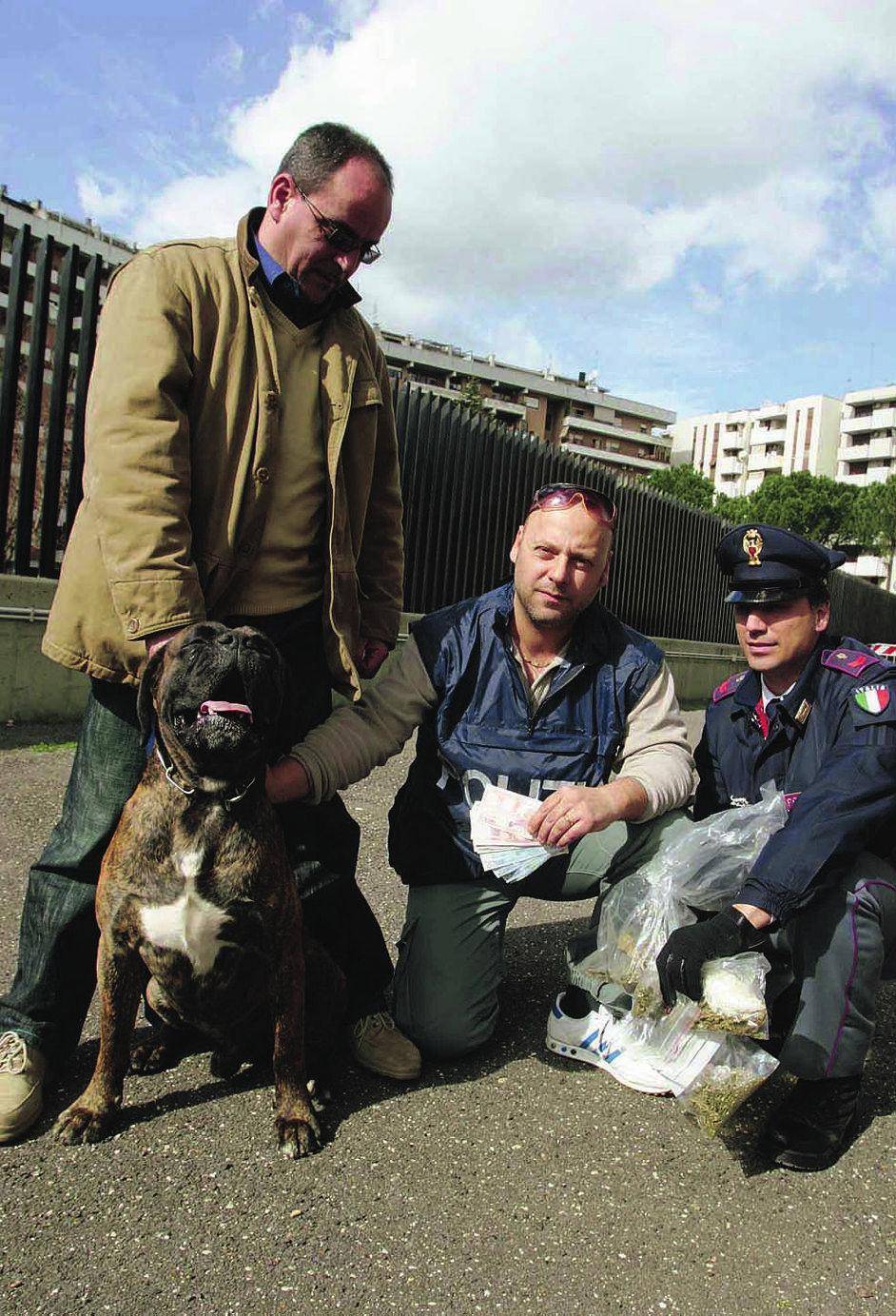 A spasso con il cane per sgominare una banda di «pusher»