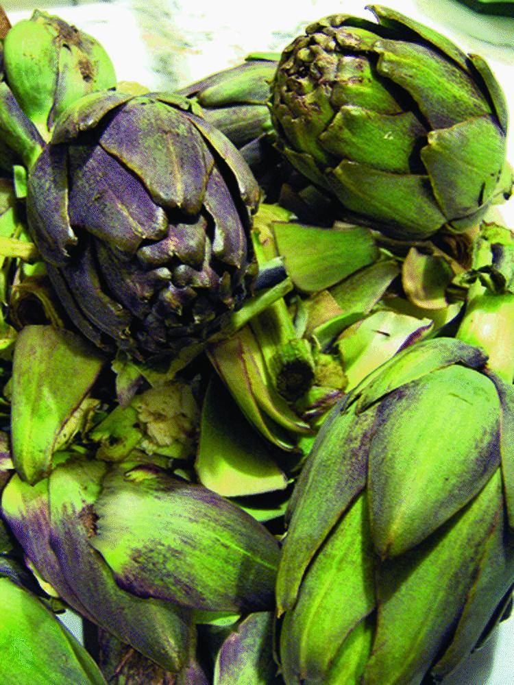 Carciofi a peso d’oro, il ladro  li ruba e cucina «pasqualine»