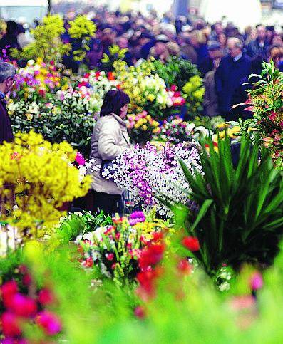 «Tredesin de marz», tripudio di fiori a porta Romana