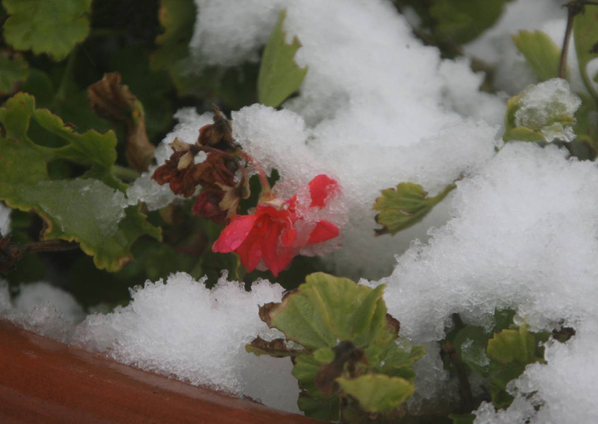 Oggi inizia la primavera ma il maltempo domina su tutta la penisola