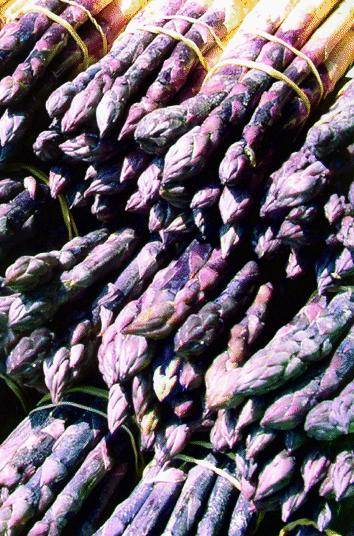 Ad Albenga falsificano l’asparago violetto