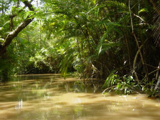 Allarme clima: dieci meraviglie naturali a rischio