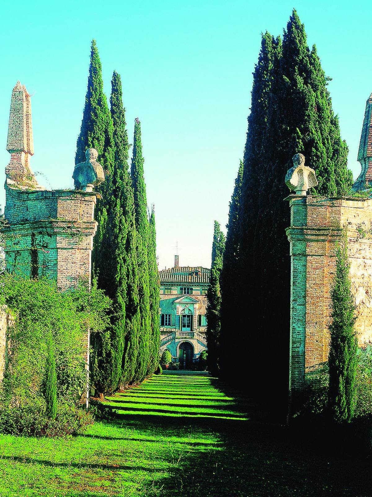 GIARDINI Non strappate più le ortiche