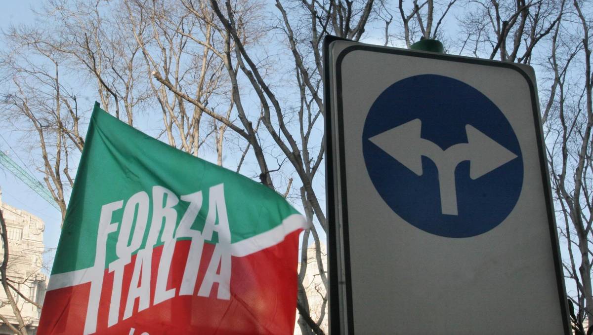 Tra giugno e novembre i nuovi leader di Forza Italia