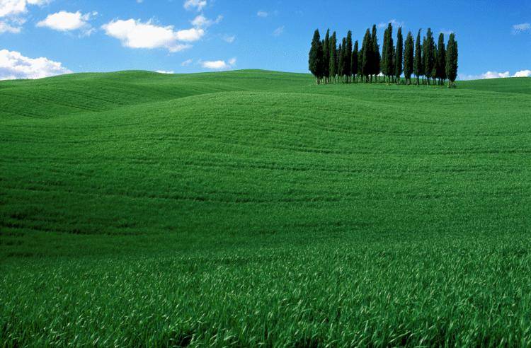 Benvenuti in Toscana dove anche gli stranieri si sentono a casa