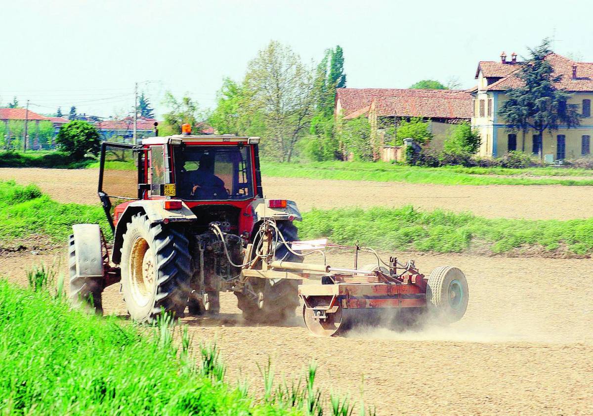 Siccità, Formigoni vuole subito poteri speciali