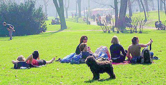 Conoscere il verde del parco Sempione