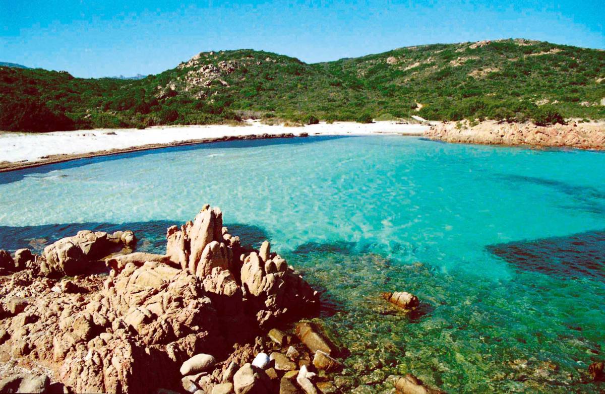 Cisterna d'acqua 500 litri - Giardino e Fai da te In vendita a Sud Sardegna