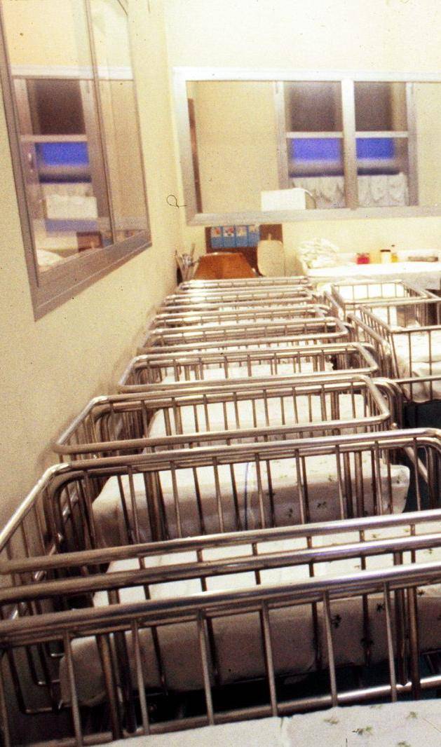 La Vincenzi diventa sindaco e si schiera subito per l’aborto
