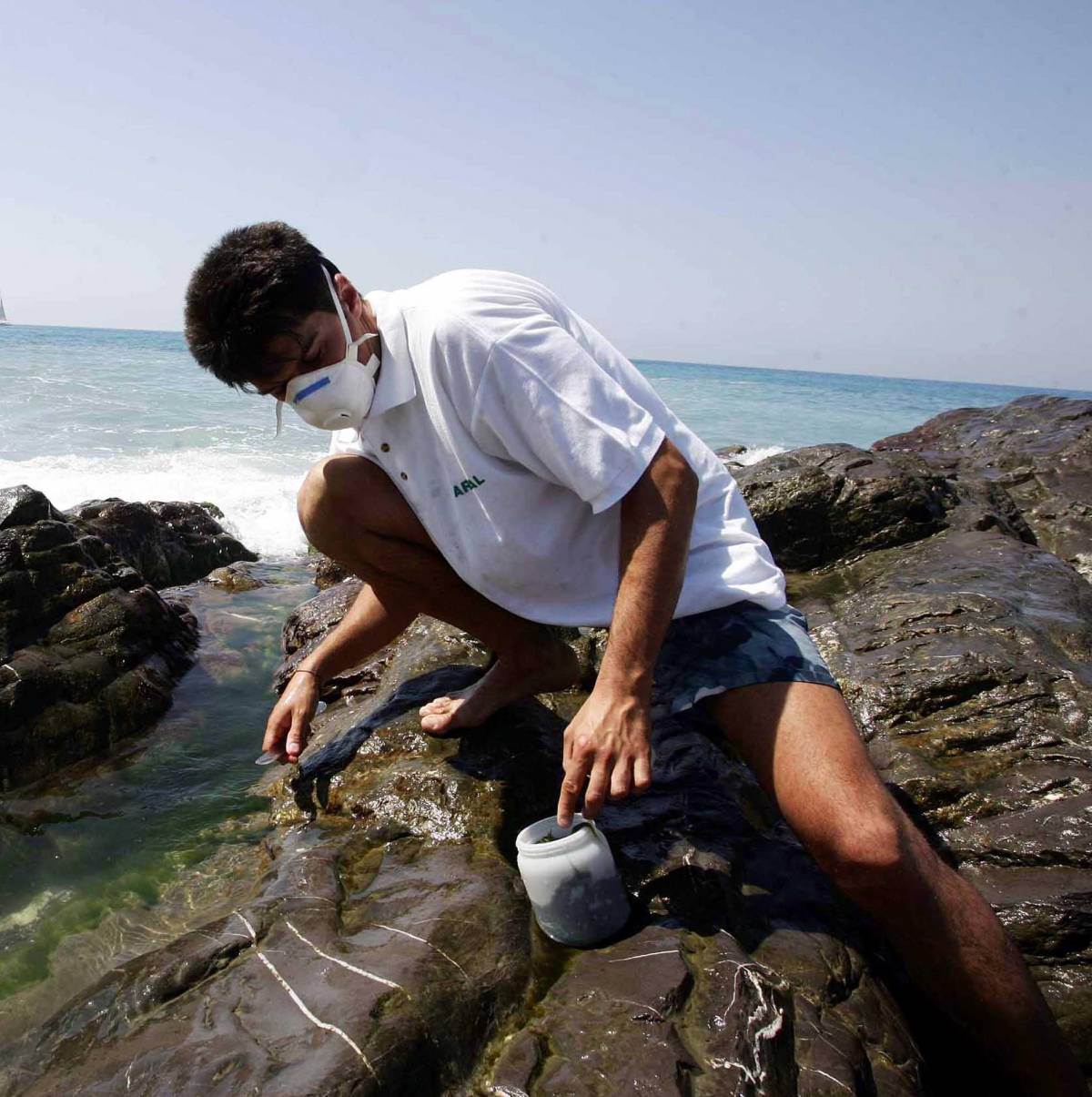 Alga tossica in agguato nel mare  della Liguria