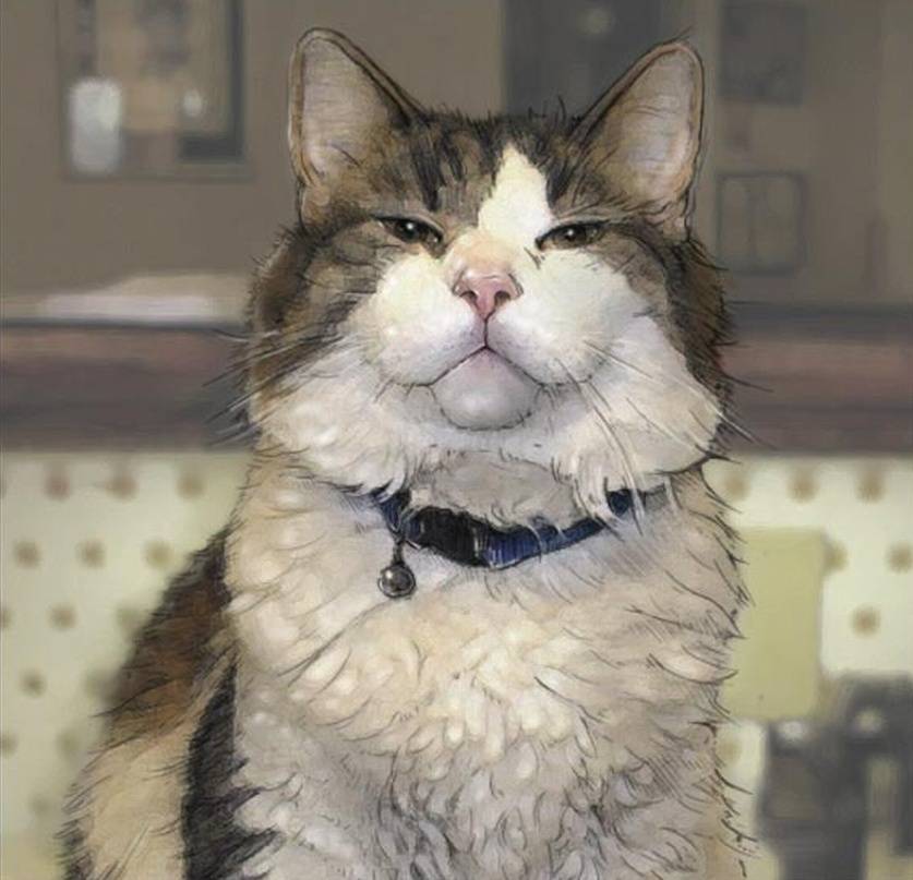 La storia del gatto che prevede la morte