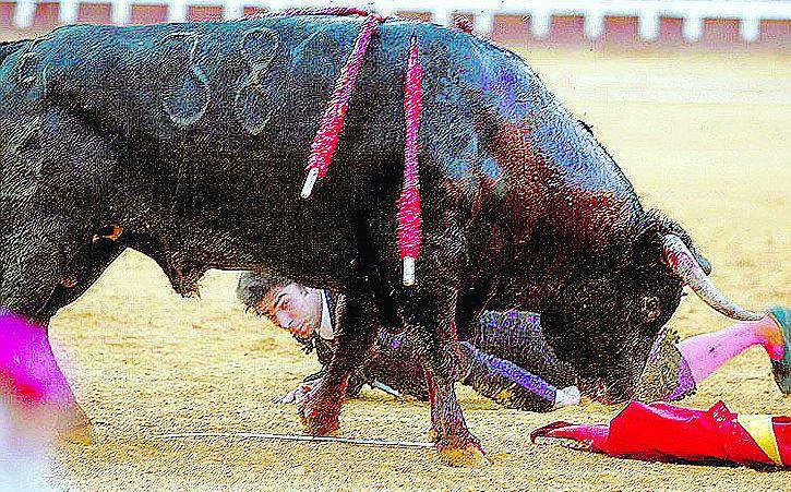 Bello, spavaldo e sconfitto Incornato il torero di Armani