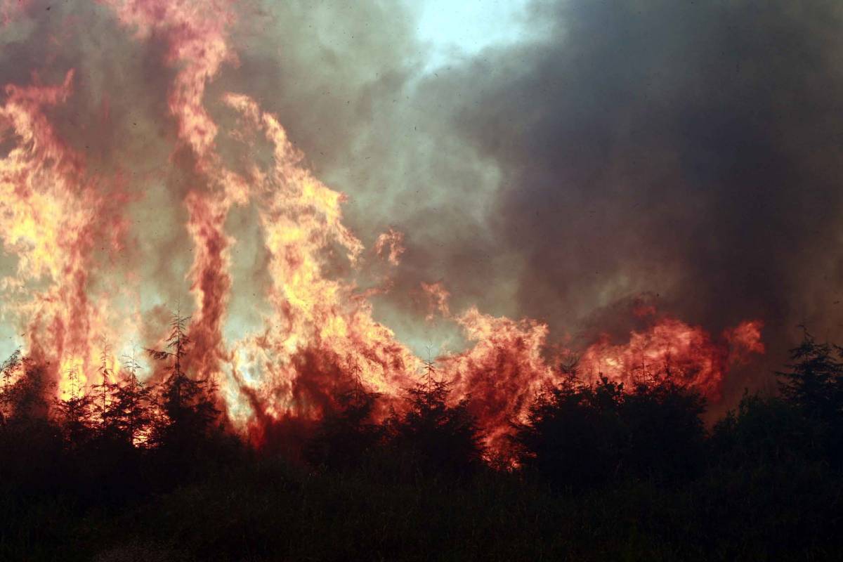 Allarme incendi, un'altra 
vittima nel Foggiano