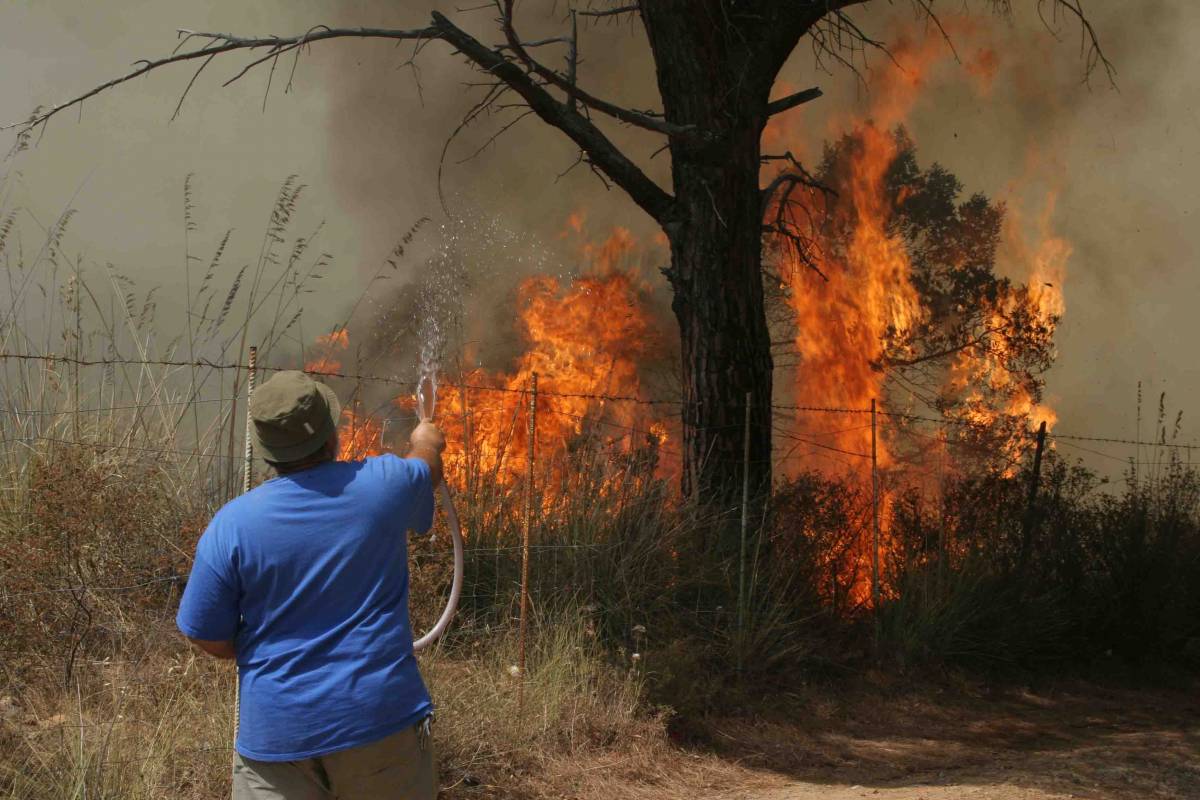 Mezza Italia in fiamme. Dal Lazio alla Calabria una scia di 236 focolai