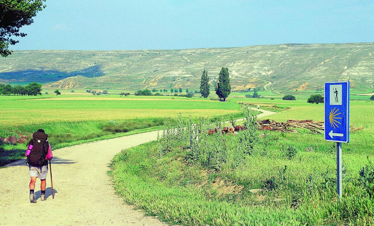 Il Cammino di Santiago tanta fede nella fatica