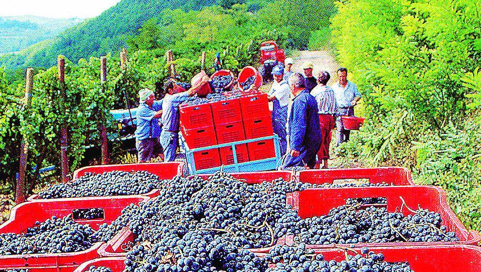 Oltrevini, l’Oltrepò festeggia le sue bollicine