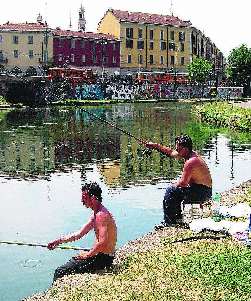 Trote, carpe e storioni A due passi da Milano il paradiso dei pescatori
