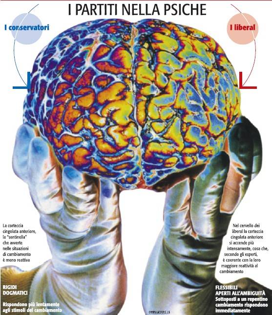 Trovati i neuroni politici: così il cervello sceglie tra liberal o conservatori