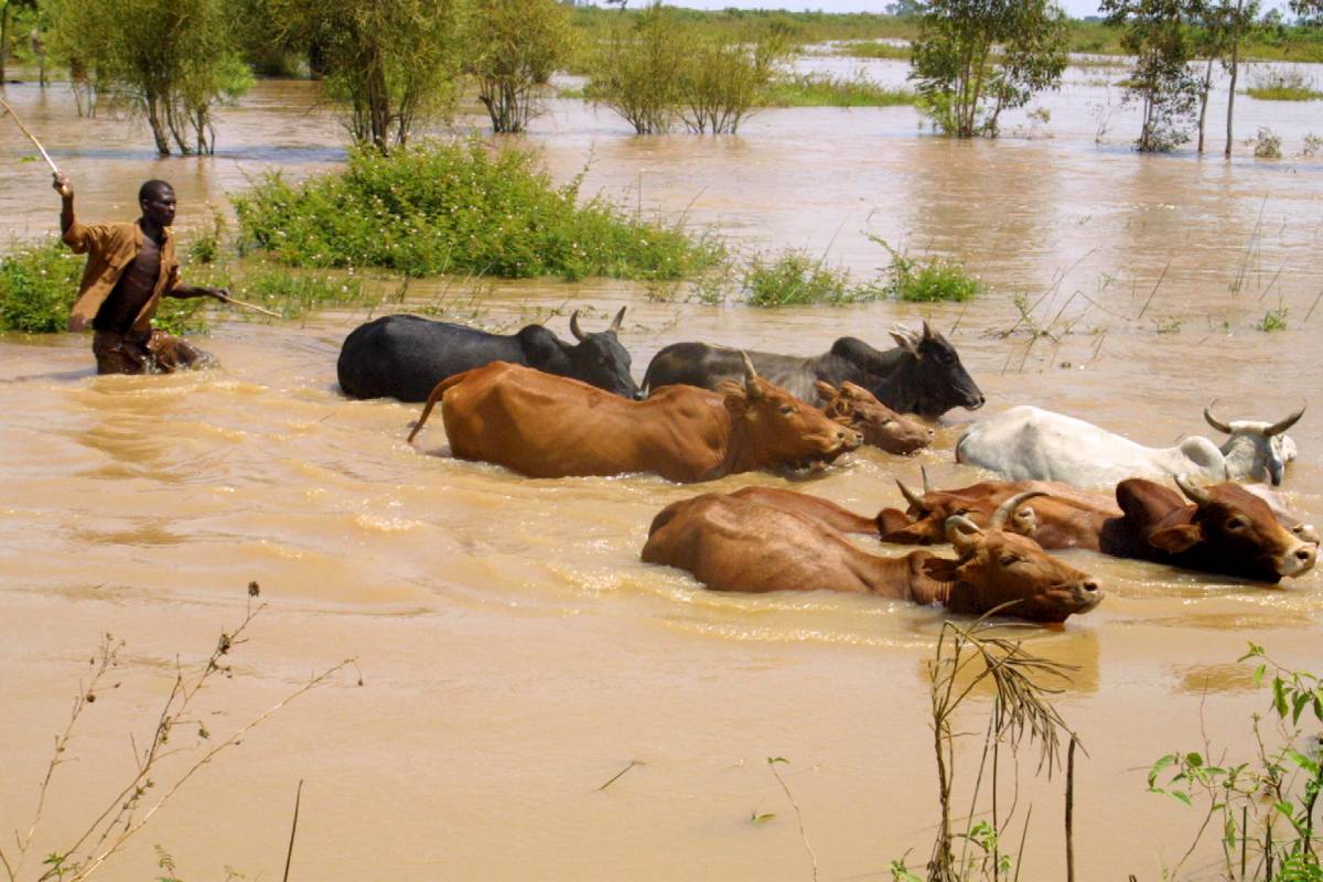 Africa sconvolta dalle alluvioni: 250 morti