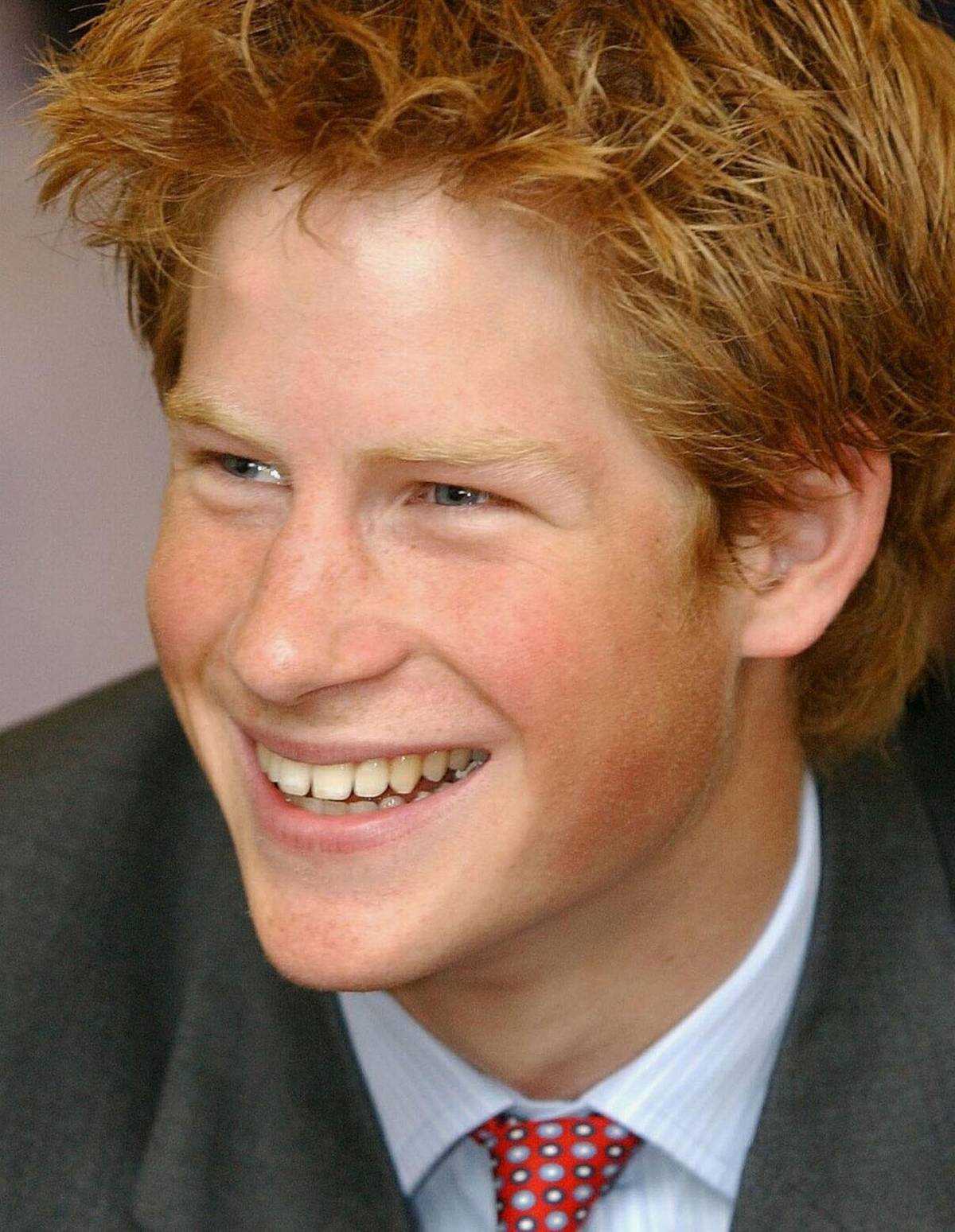 Ricatto a luci rosse a Corte. E subito tutti pensano a Harry