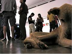 La Ue mette al bando il torturatore di cani