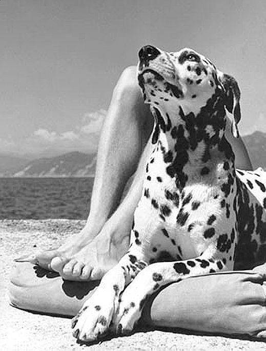 Cartoline da un’Italia bella e metafisica