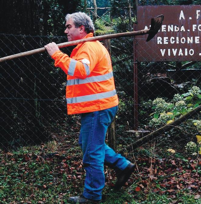 La Calabria brucia 60 milioni 
per pensionare 2500 forestali