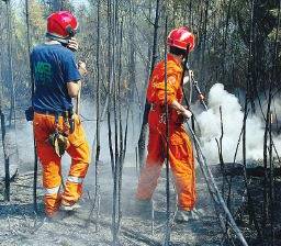 Al Sud il record di assunti e anche quello dei roghi