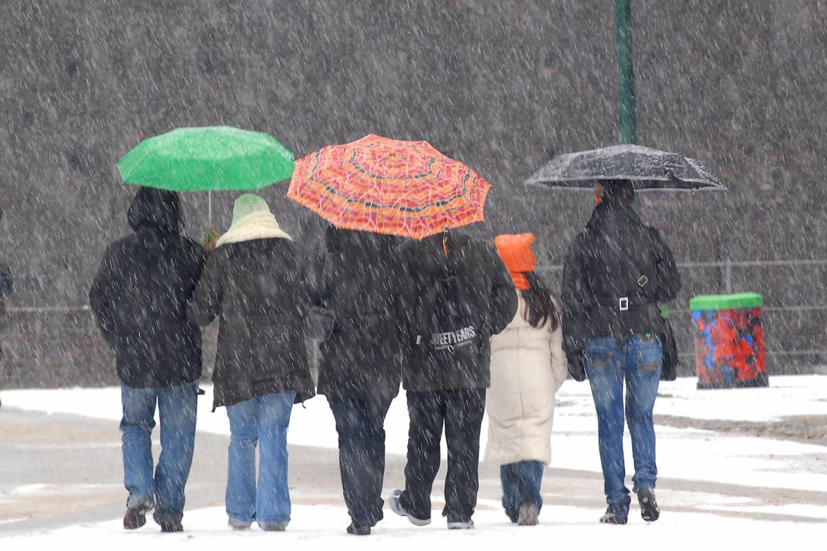 Neve e gelo al Centro-Nord 
E' arrivato l'inverno