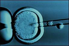 Creato il primo embrione-clone umano