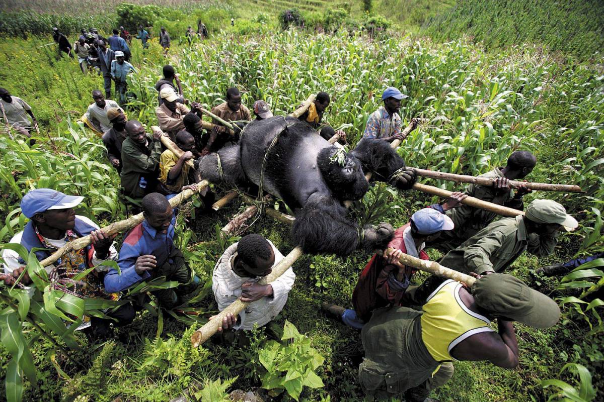 La foto di un soldato Usa 
trionfa al World press 2008