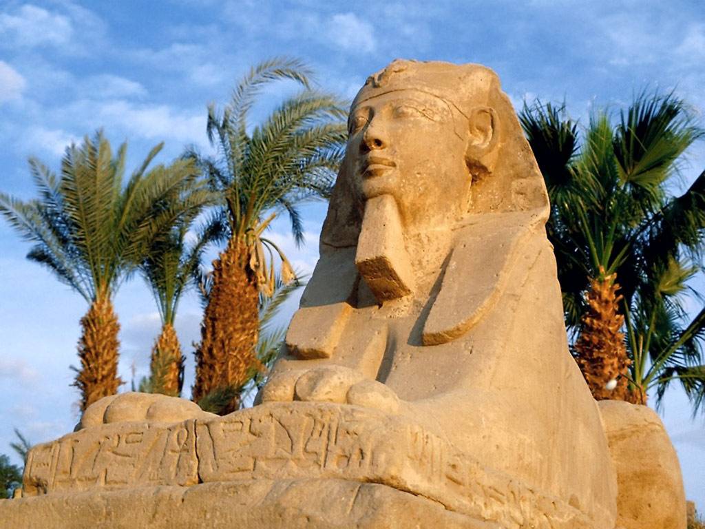 Egitto, scoperta la tomba dell'arciere del Faraone