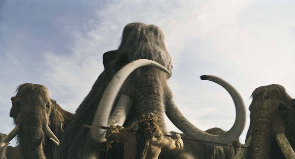 Mammut, lupi, volpi e draghi: il cinema diventa uno zoo