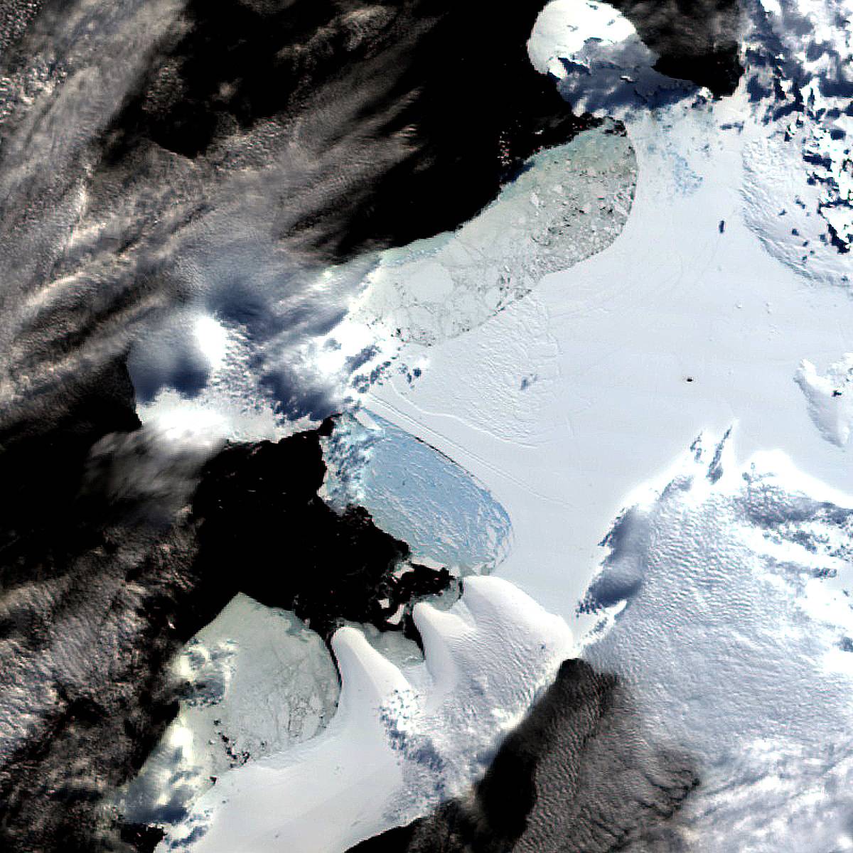 Antartide, si stacca  
un gigantesco iceberg