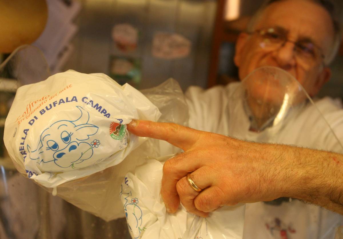 Mozzarella alla diossina: persi 30 milioni