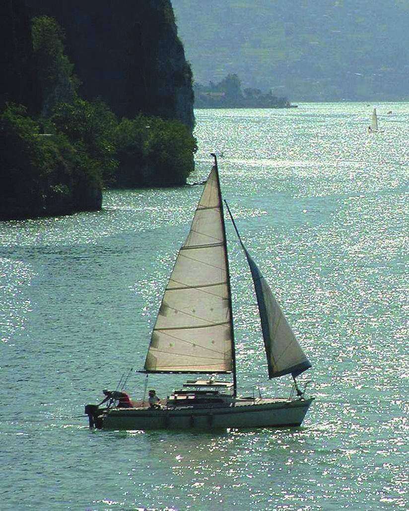 Dal pesce alla vela, viva il «free-ciclo»