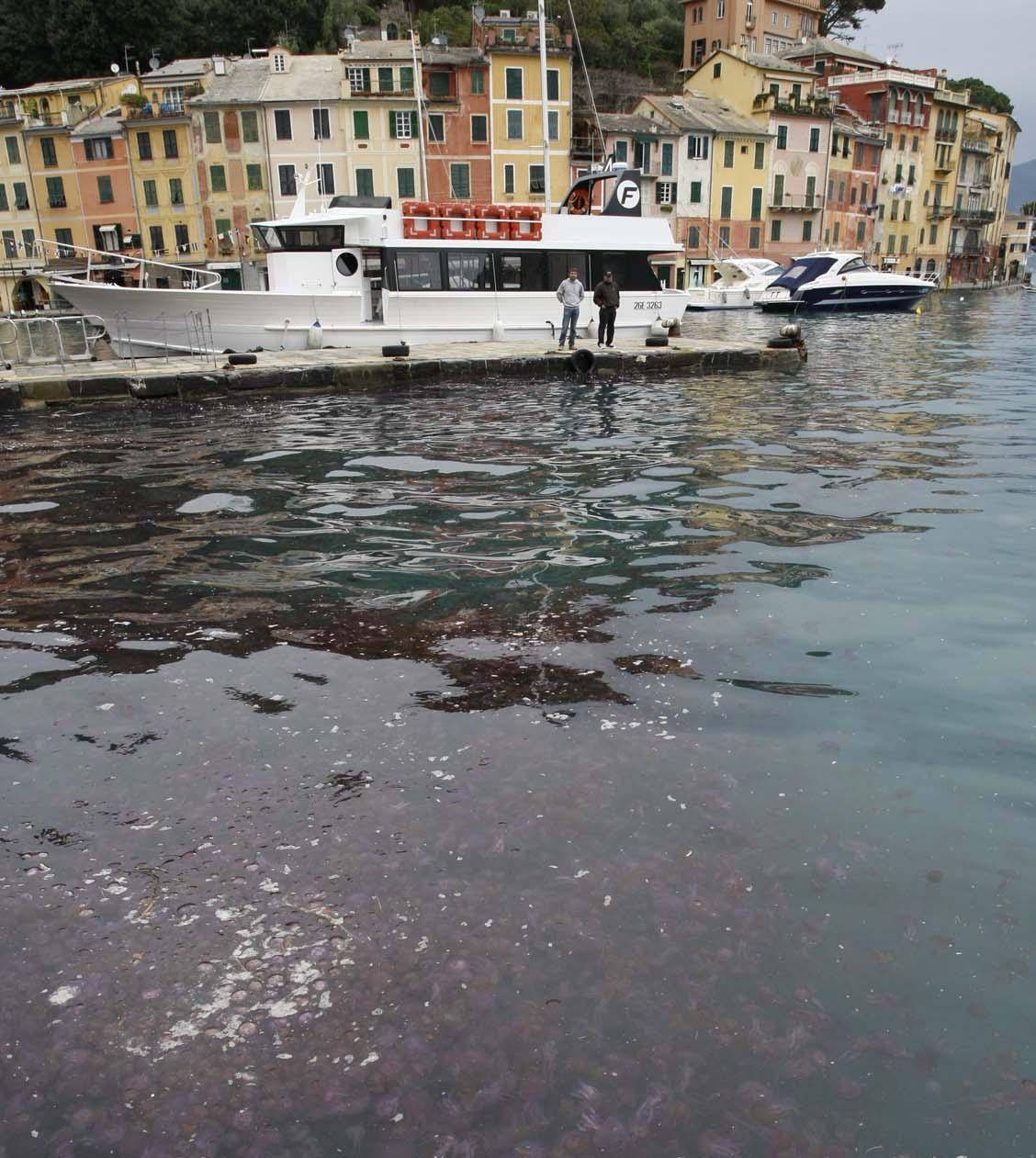 Dodici anni: si spara in testa con la pistola di papà