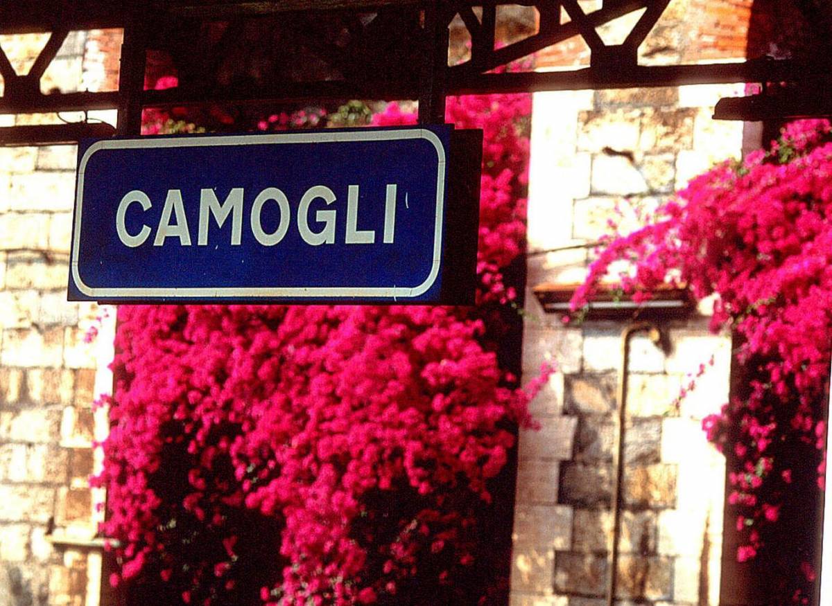 Camogli, mistero in Comune: quadro sparisce dall’archivio