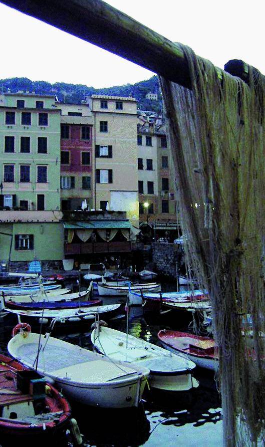 Camogli non cambia colore   Mannucci curerà il borgo