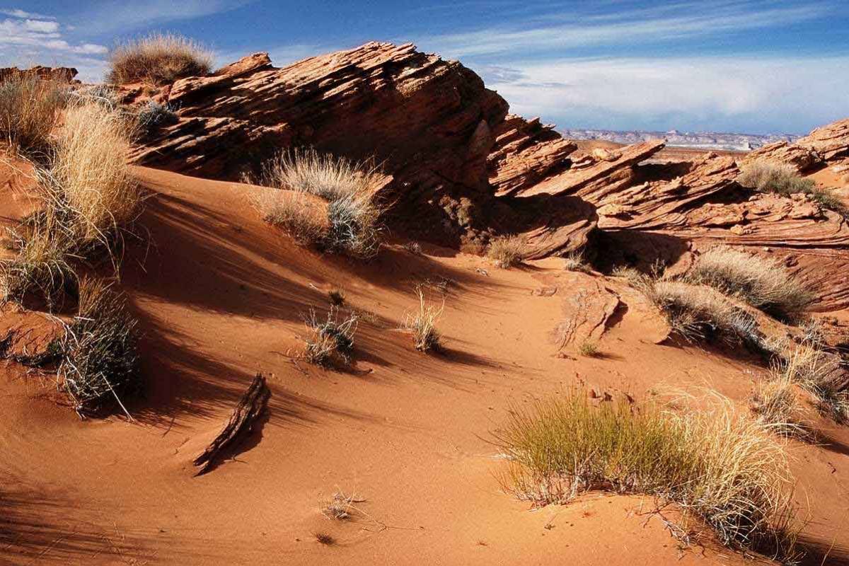 I cambiamenti climatici 
allarmano gli Stati Uniti