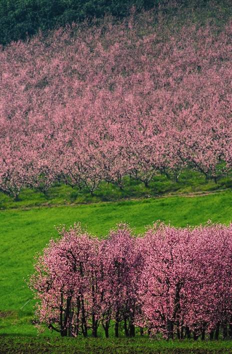 Dall'Appenino al Delta del Po 
vacanze a "tutta natura"