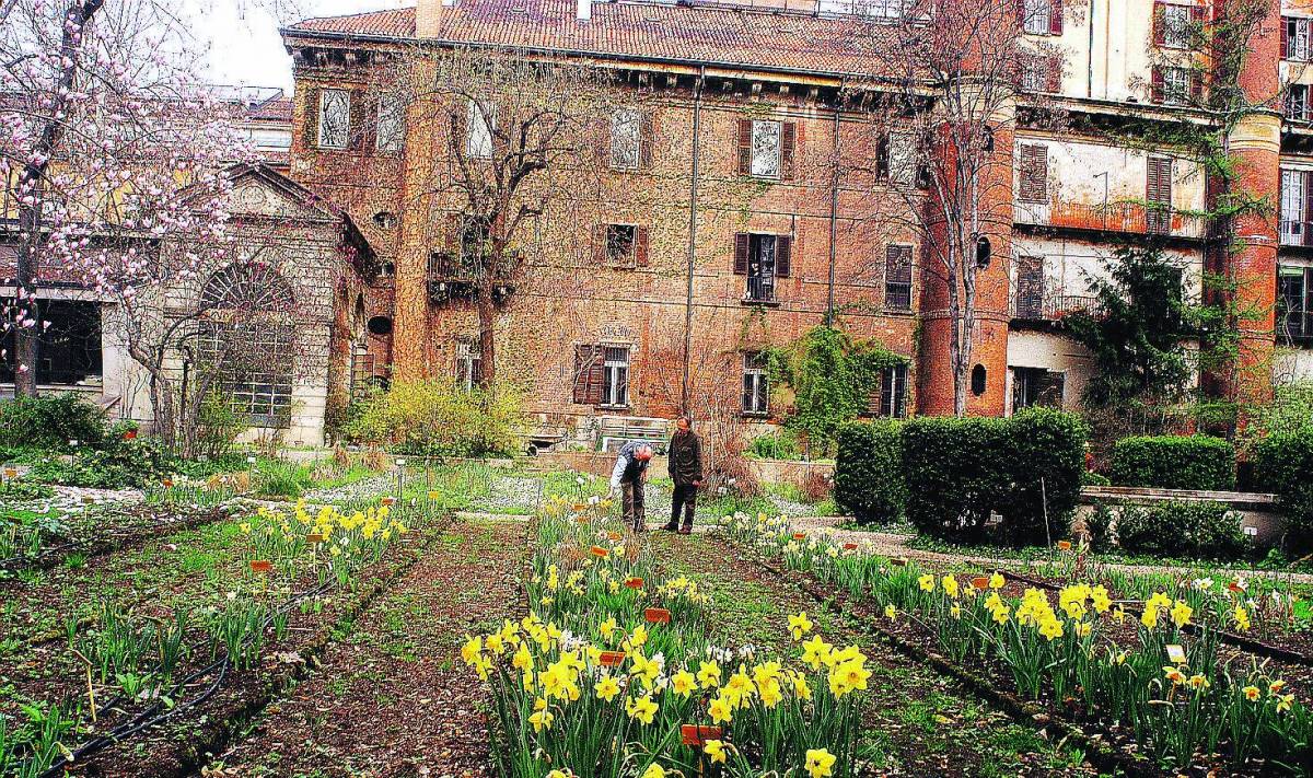 Una Milano  a tutto verde tra piante e tesori nascosti