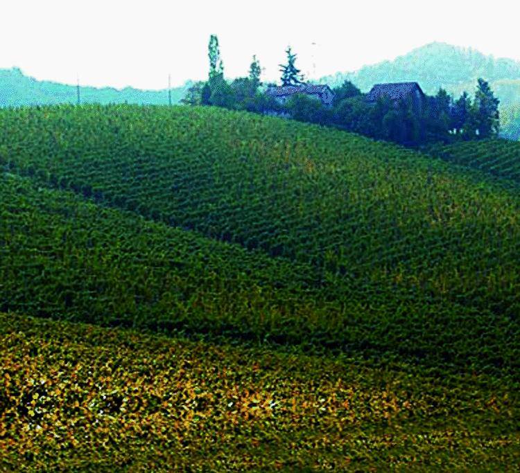 Rinascimento ligure, il modello turistico di Gavi