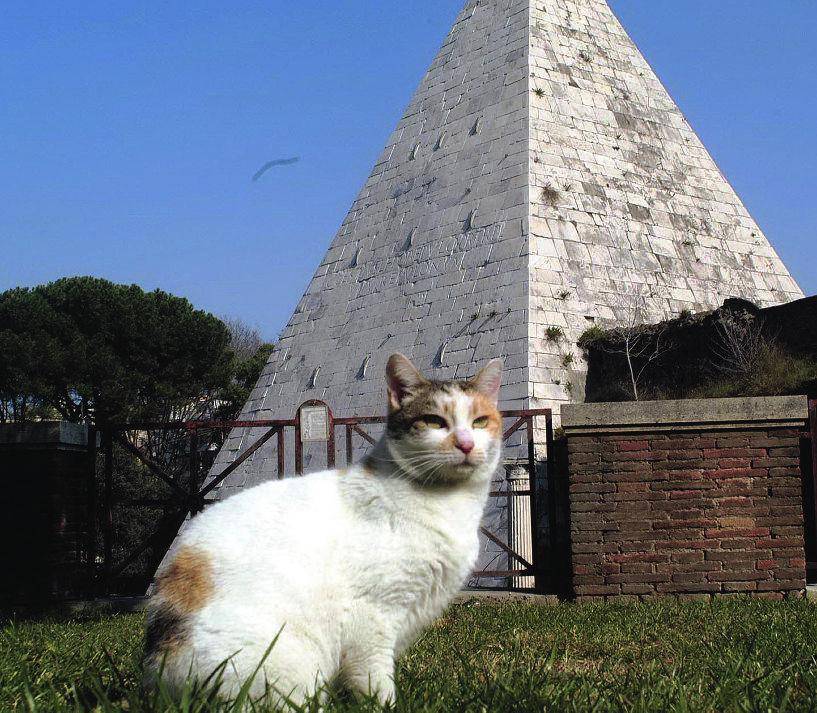 Nella capitale arriva il funerale per cani e gatti