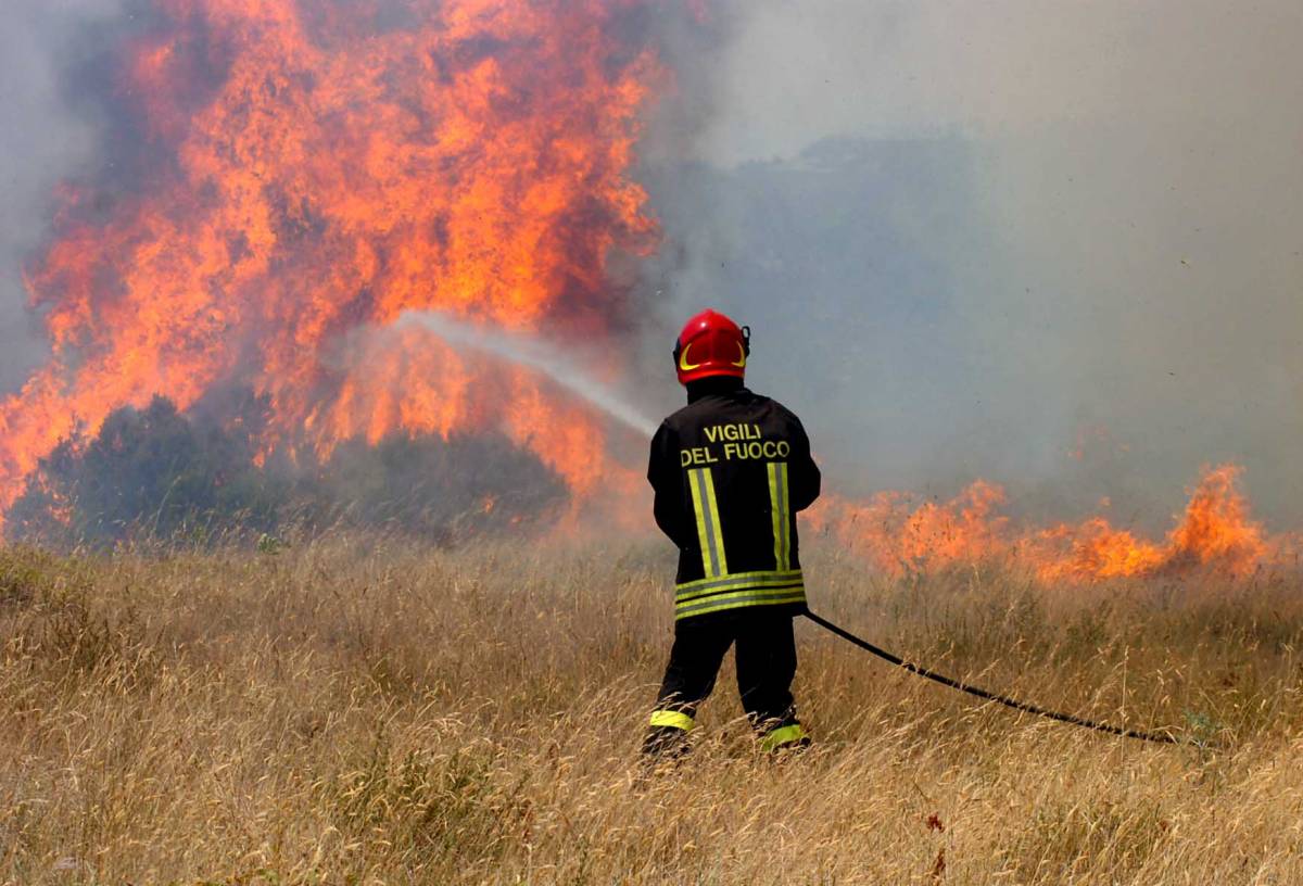 Roghi, Sicilia in fiamme 
Ondata di caldo al Sud