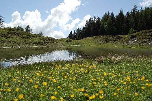 Sagre e fuochi rituali nell'estate valdostana