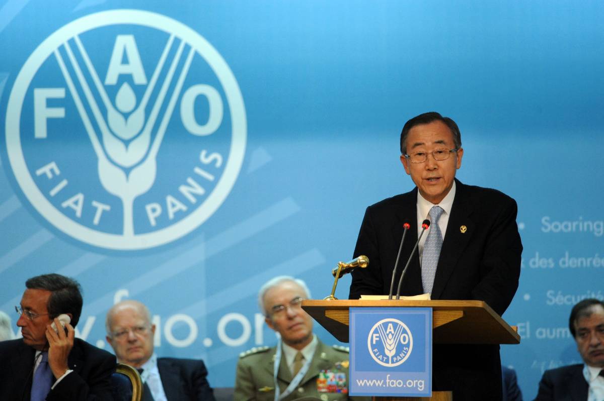 Vertice Fao, l'allarme di Ban Ki-Moon 
"La fame genera instabilità e rivolte"